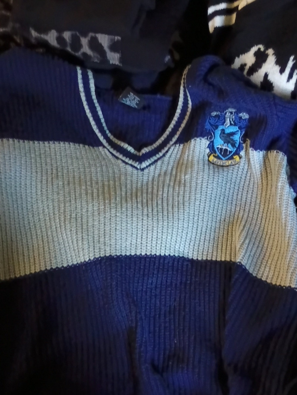 Ravenclaw Hooded Knit Sweater